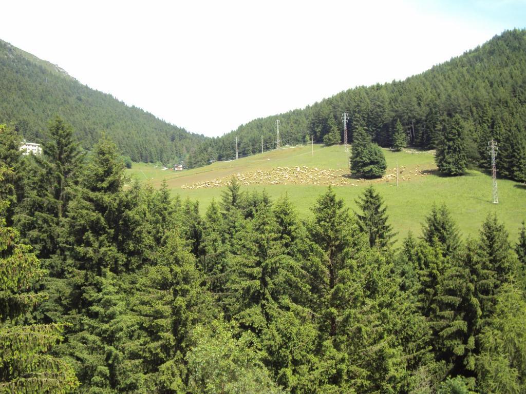 Hotel Des Alpes Castione della Presolana Szoba fotó