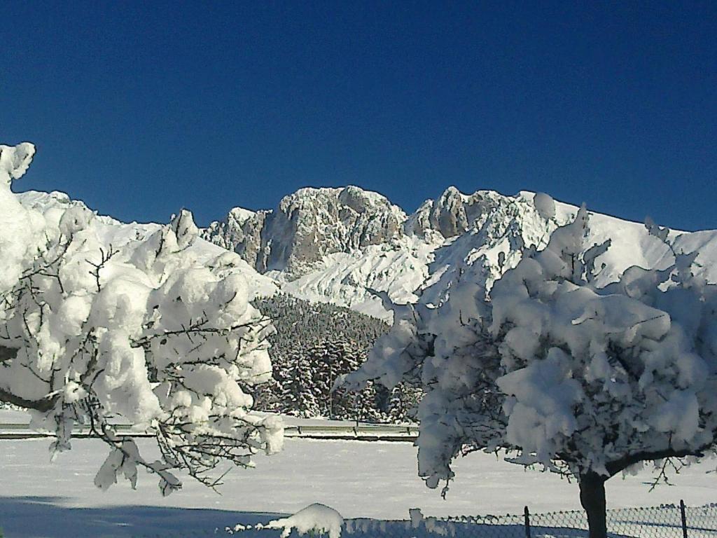 Hotel Des Alpes Castione della Presolana Kültér fotó