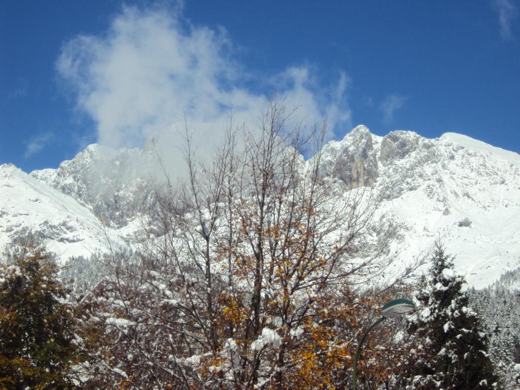Hotel Des Alpes Castione della Presolana Szoba fotó